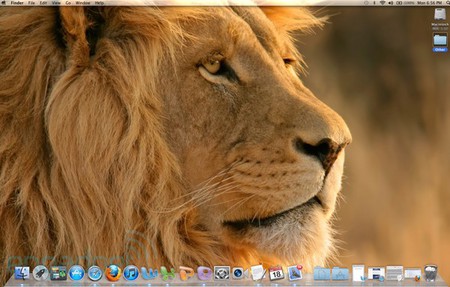 mac-ox-x-lion.jpg