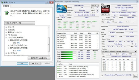 hwinfo-64-i7-950-80per.jpg